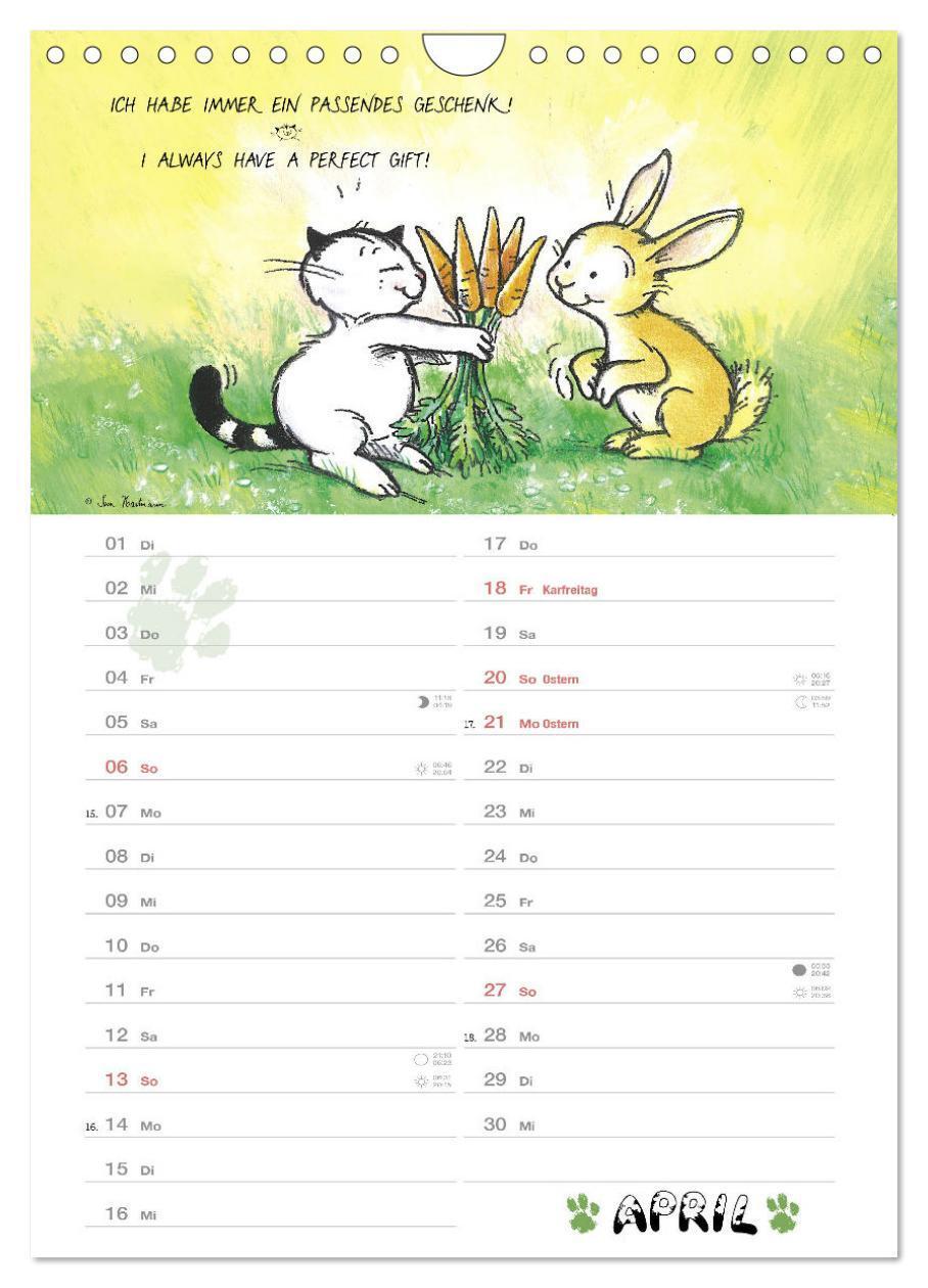 Bild: 9783457187401 | Kater Jacob: kleine Katzenweisheiten (Wandkalender 2025 DIN A4...