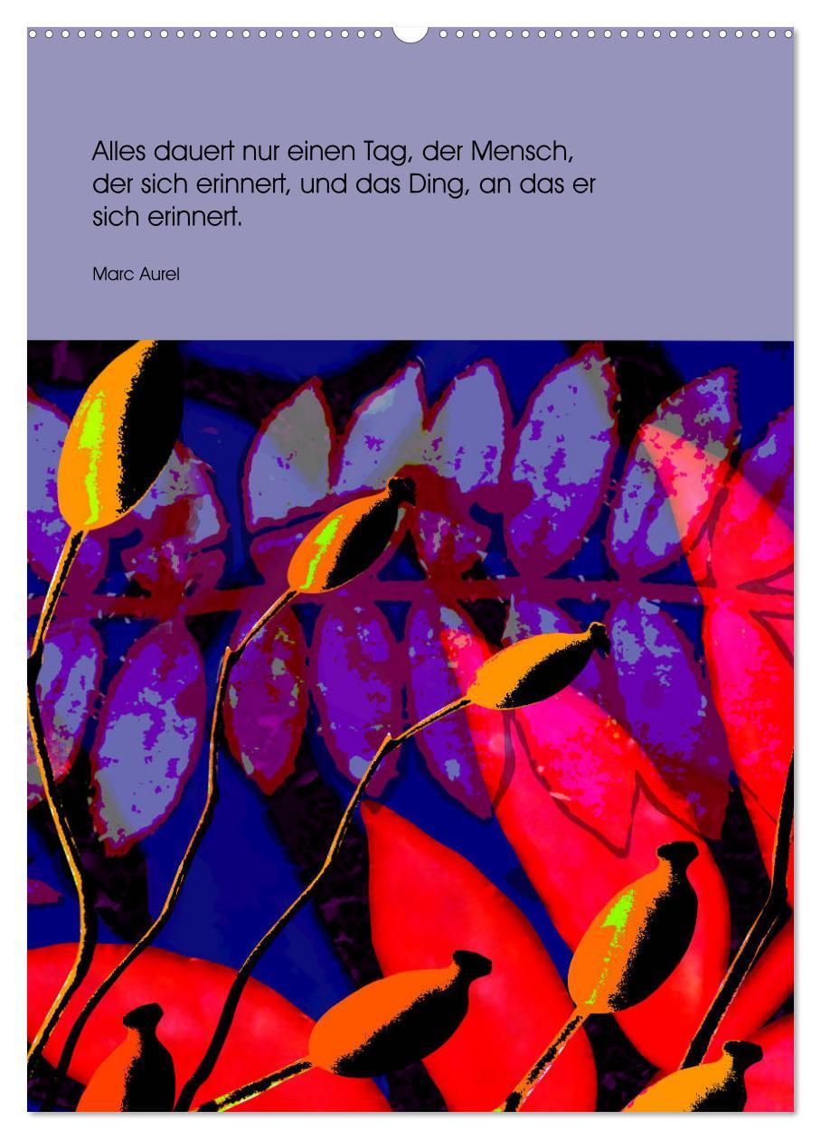 Bild: 9783435950522 | Philosophische Inspirationen Wandkalender 2025 (hochwertiger...