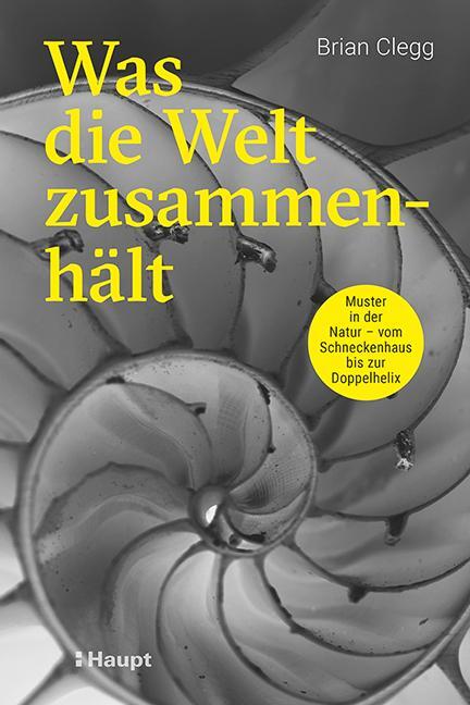 Cover: 9783258082639 | Was die Welt zusammenhält | Brian Clegg | Taschenbuch | Deutsch | 2022