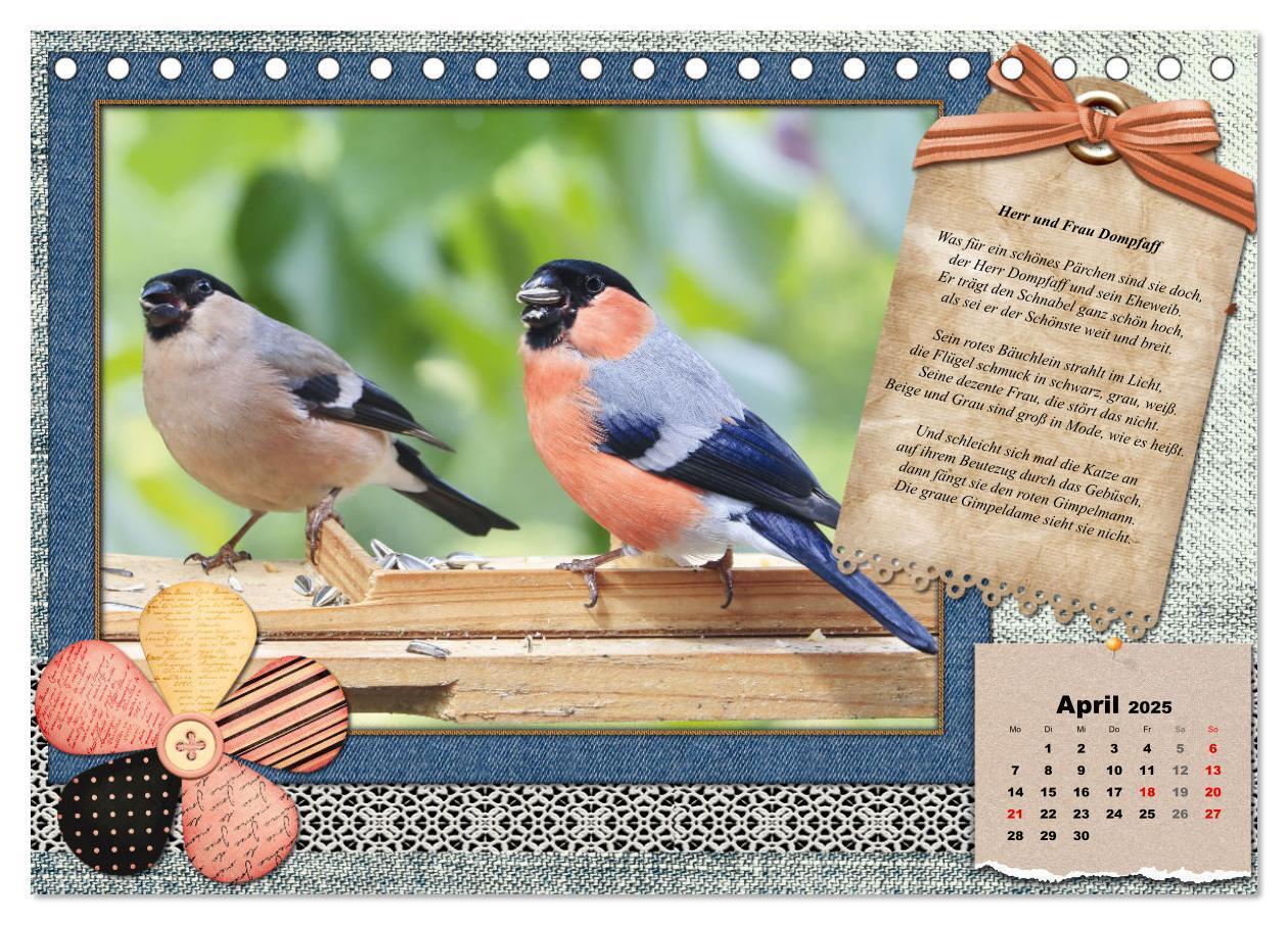 Bild: 9783435081905 | Der poetische Vogelkalender (Tischkalender 2025 DIN A5 quer),...