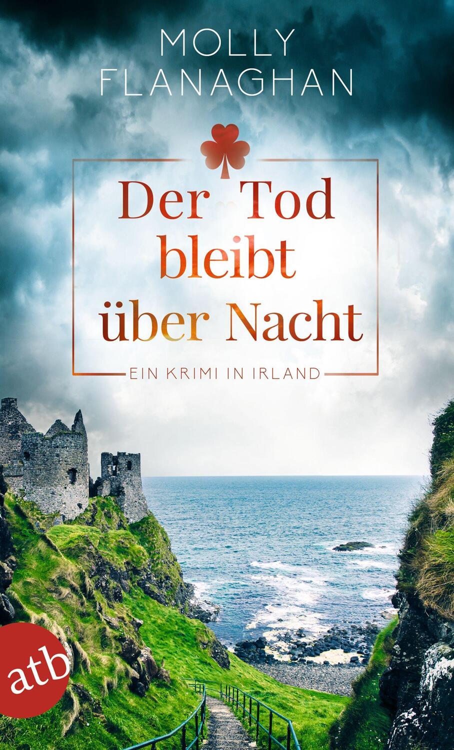 Cover: 9783746637235 | Der Tod bleibt über Nacht | Ein Krimi in Irland | Molly Flanaghan