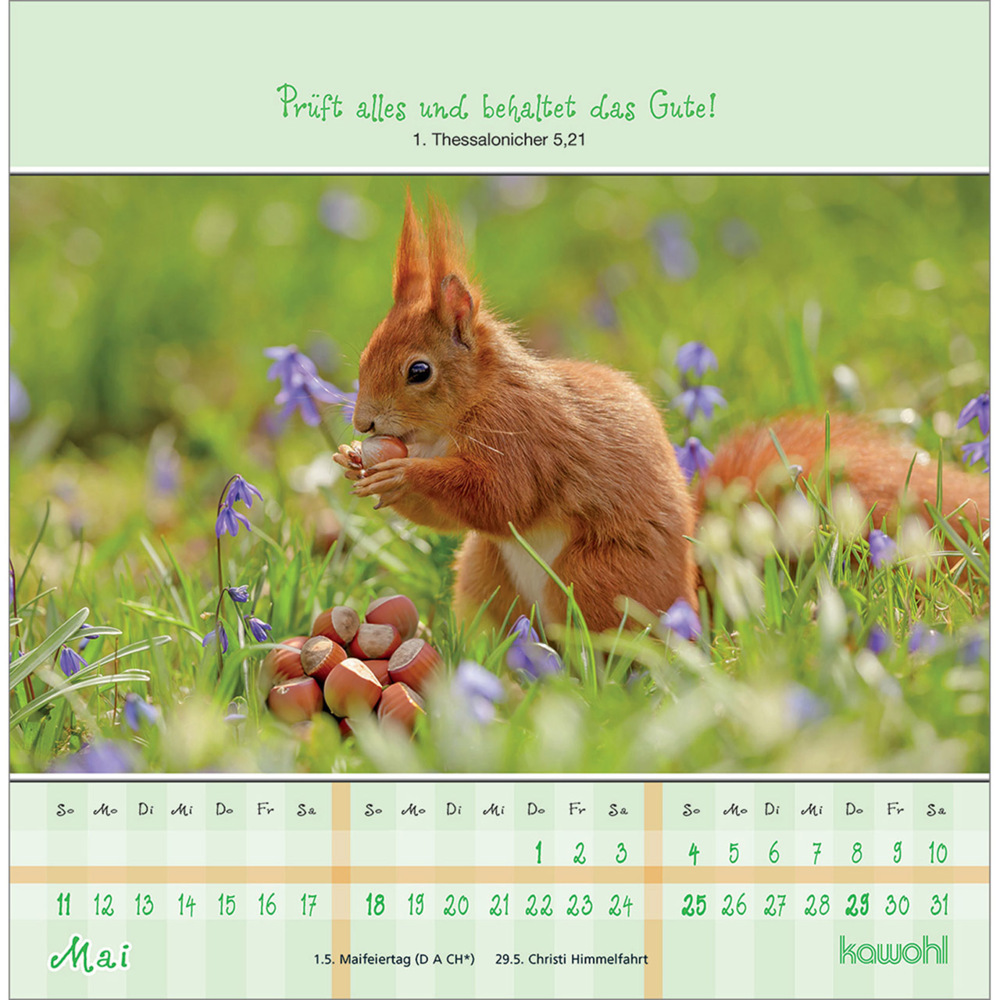 Bild: 9783754815151 | Von Herzen gute Tage 2025 | Kalender | Spiralbindung. Spiralbindung