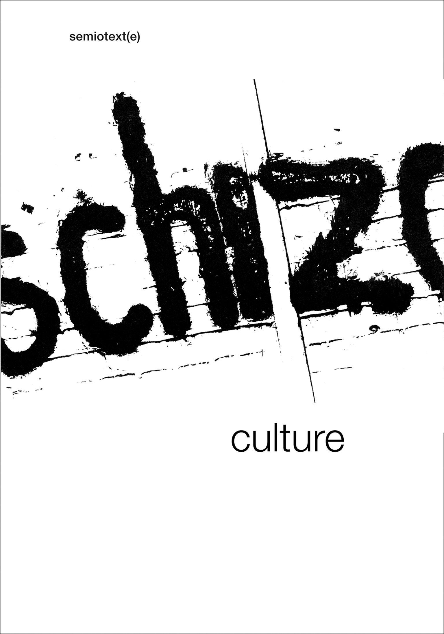 Cover: 9781584351245 | Schizo-Culture, 2-Vol. Set: The Event, the Book | Lotringer (u. a.)