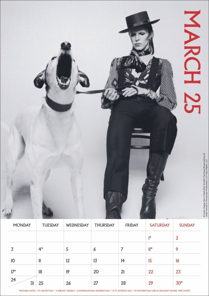 Bild: 9783840196713 | David Bowie Posterkalender 2025 | Kalender | Spiralbindung | 14 S.