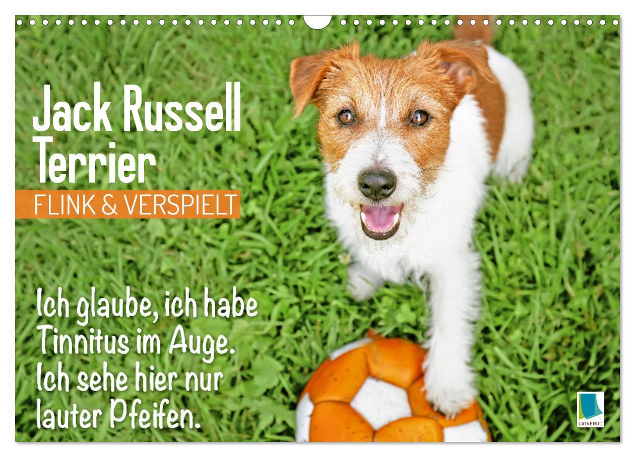 Cover: 9783457199794 | Jack Russell Terrier: flink und verspielt (Wandkalender 2025 DIN A3...