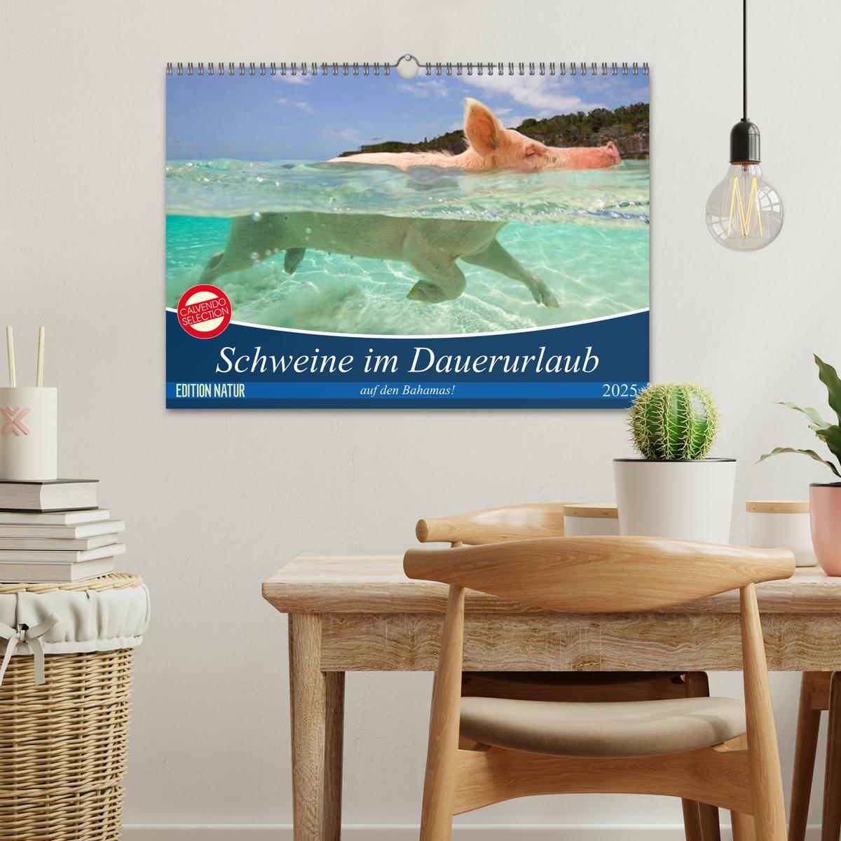 Bild: 9783435421169 | Schweine im Dauerurlaub auf den Bahamas! (Wandkalender 2025 DIN A3...