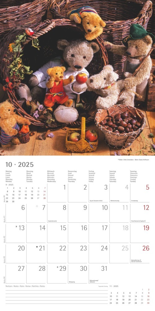 Bild: 4251732340643 | Alpha Edition - Teddy 2025 Broschürenkalender, 30x30cm,...