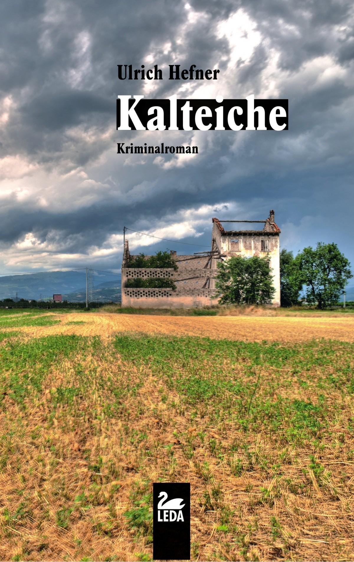 Cover: 9783864122033 | Kalteiche | Ulrich Hefner | Taschenbuch | 335 S. | Deutsch | 2017