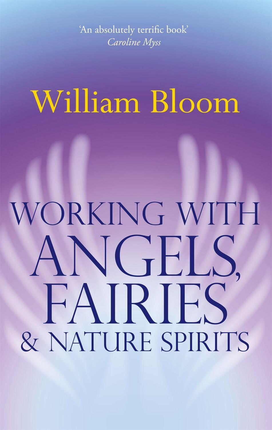 Cover: 9780749941161 | Working With Angels, Fairies And Nature Spirits | William Bloom | Buch