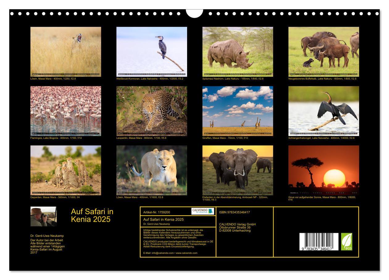 Bild: 9783435346417 | Auf Safari in Kenia 2025 (Wandkalender 2025 DIN A3 quer), CALVENDO...