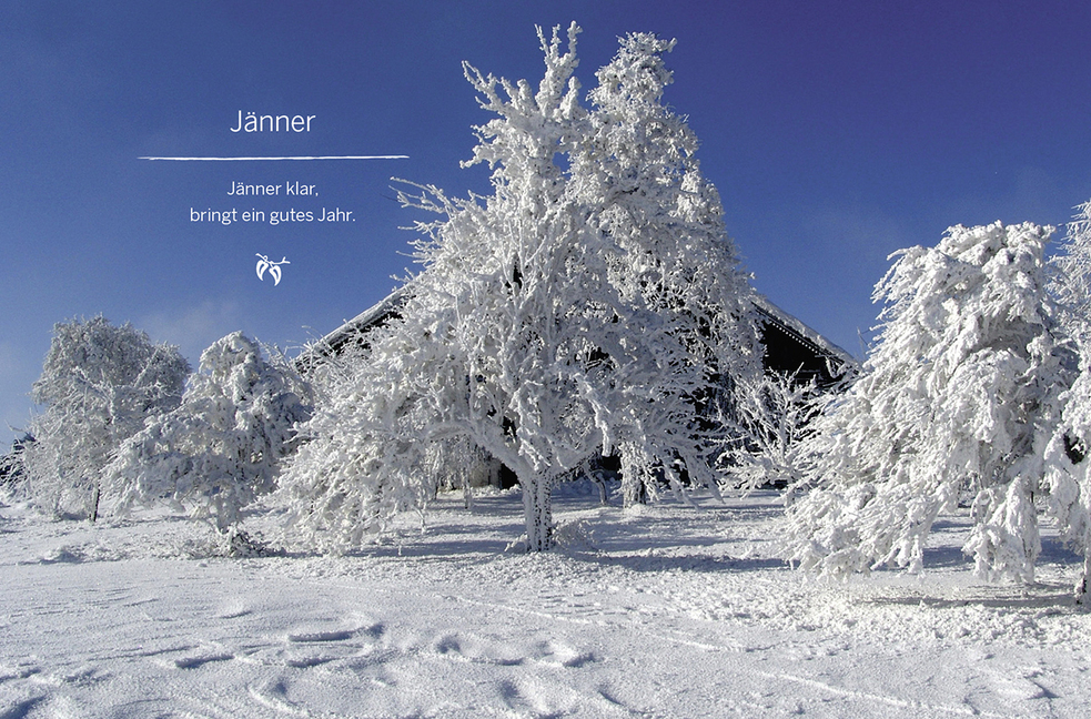 Bild: 9783710400063 | Das große kleine Buch: Mein Garten im Winter | Elke Papouschek | Buch