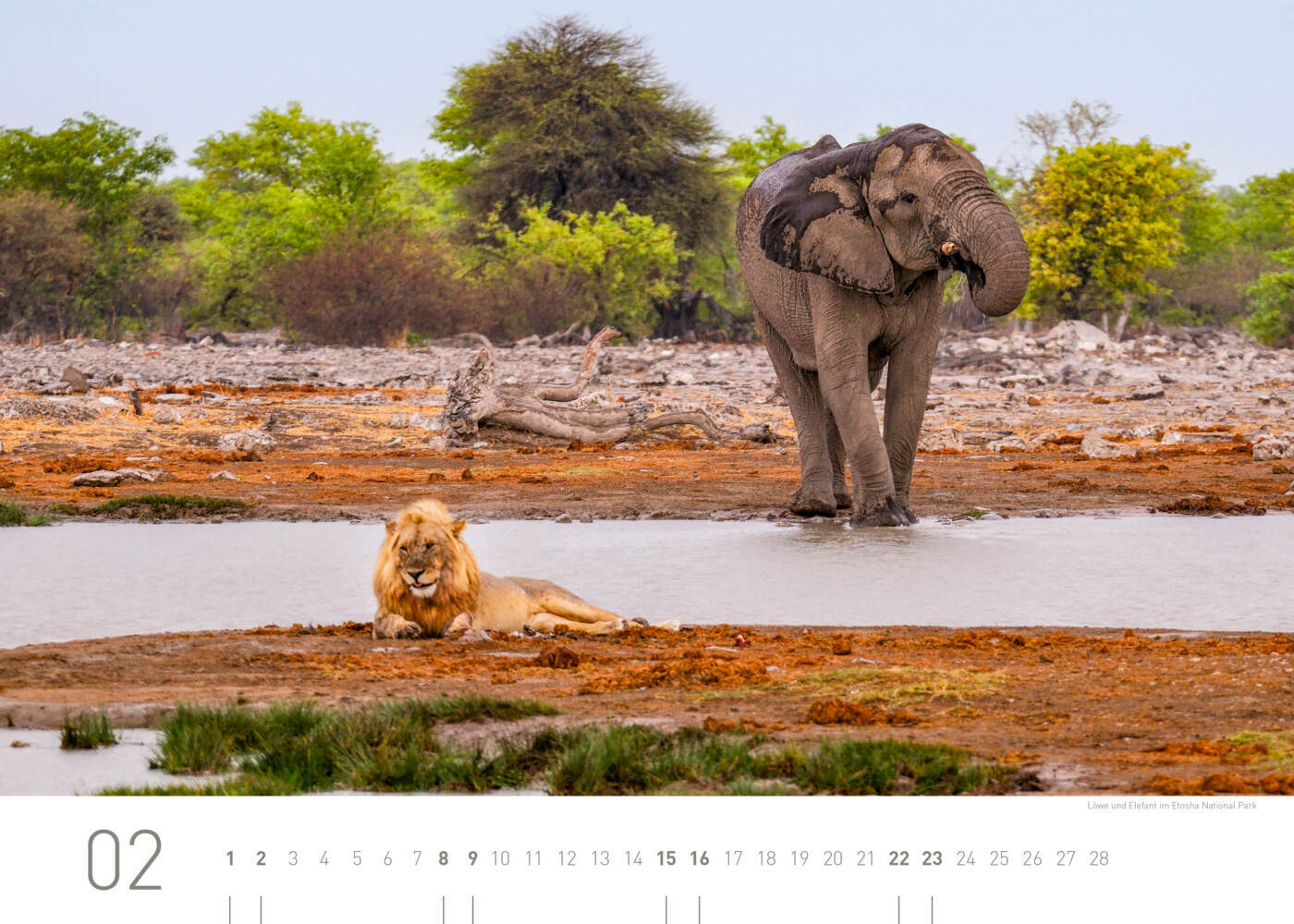 Bild: 9783968555546 | 360° Namibia Exklusivkalender 2025 | Christian Heeb | Kalender | 13 S.