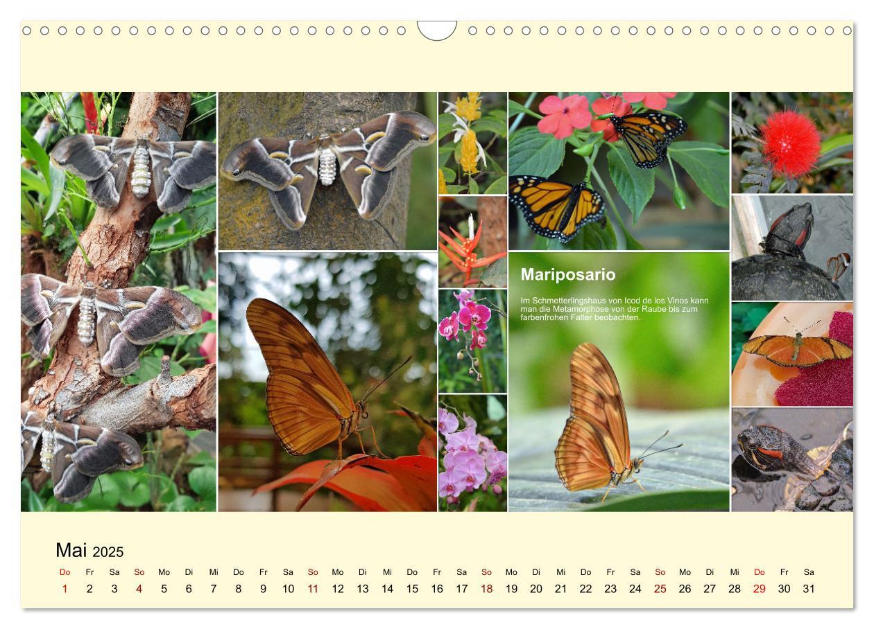 Bild: 9783435006007 | Zauberhaftes Teneriffa (Wandkalender 2025 DIN A3 quer), CALVENDO...