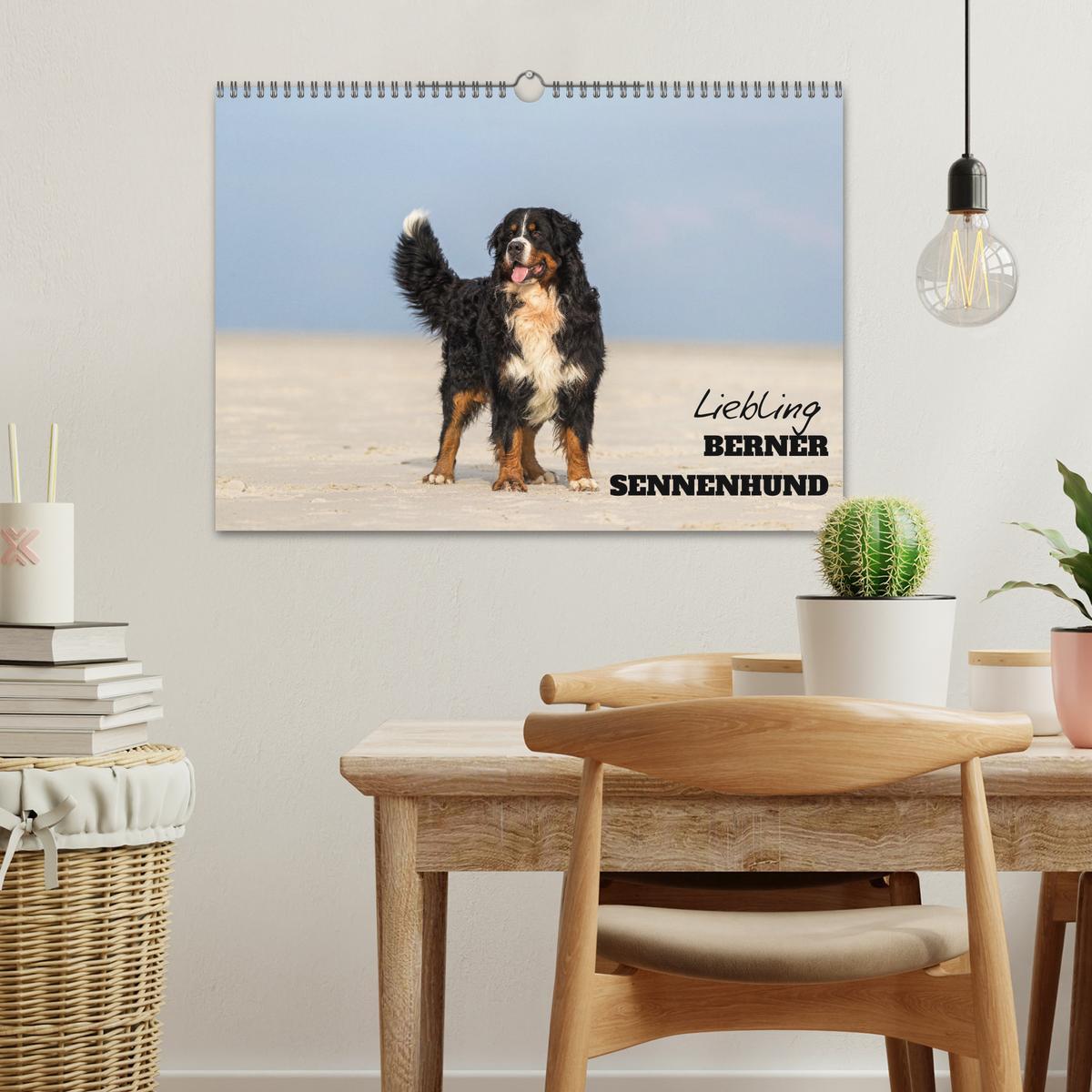 Bild: 9783435659418 | Liebling BERNER SENNENHUND (Wandkalender 2025 DIN A3 quer),...