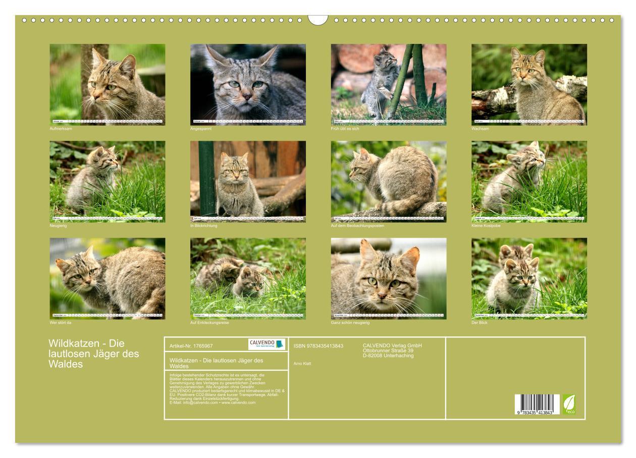 Bild: 9783435413843 | Wildkatzen - Die lautlosen Jäger des Waldes (Wandkalender 2025 DIN...