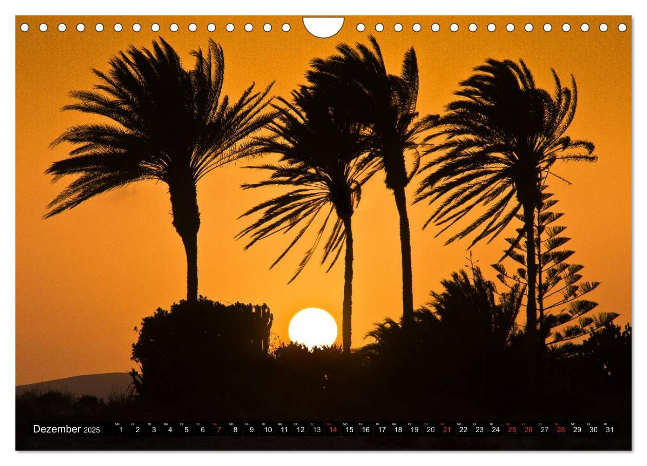 Bild: 9783435711727 | Fuerteventura, Insel der Stille (Wandkalender 2025 DIN A4 quer),...