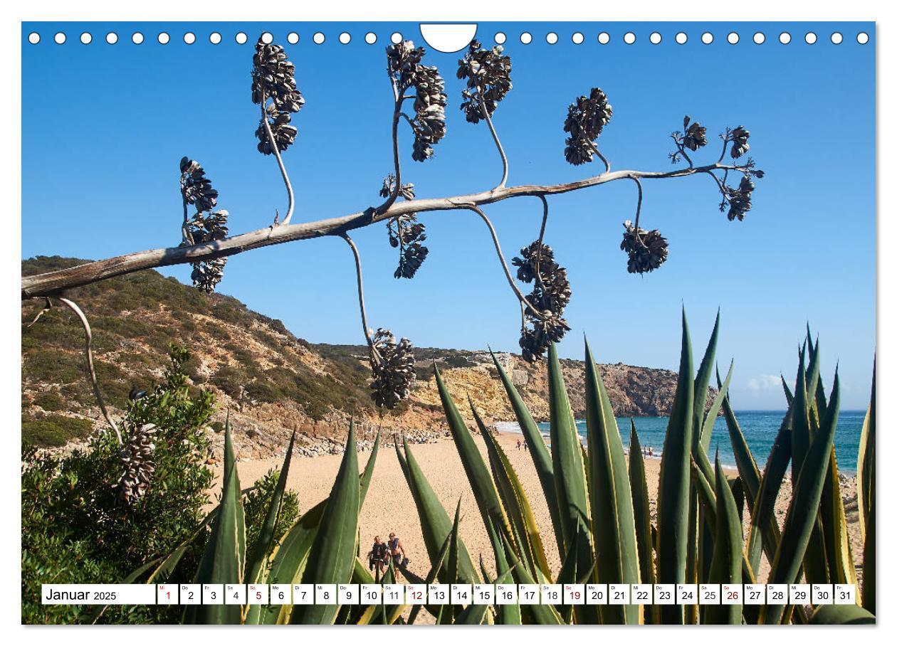 Bild: 9783435142682 | Algarve - Die schönste Küste Europas (Wandkalender 2025 DIN A4...