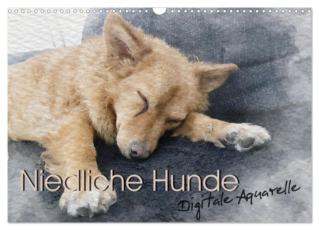 Cover: 9783457239582 | Niedliche Hunde - Digitale Aquarelle (Wandkalender 2025 DIN A3...