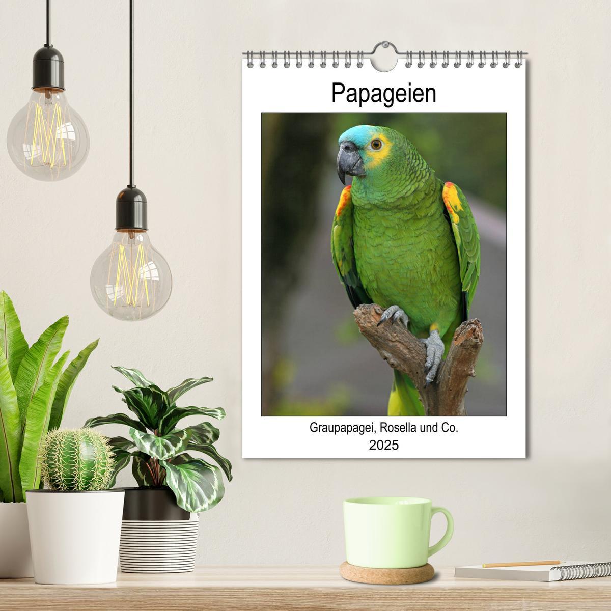 Bild: 9783435985418 | Papageien - Graupapagei, Rosella und Co. (Wandkalender 2025 DIN A4...