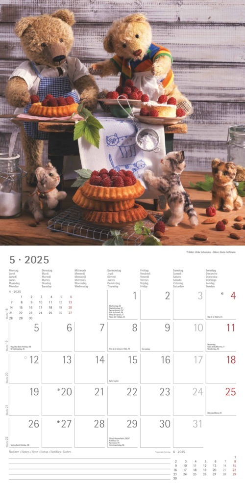 Bild: 4251732340643 | Alpha Edition - Teddy 2025 Broschürenkalender, 30x30cm,...