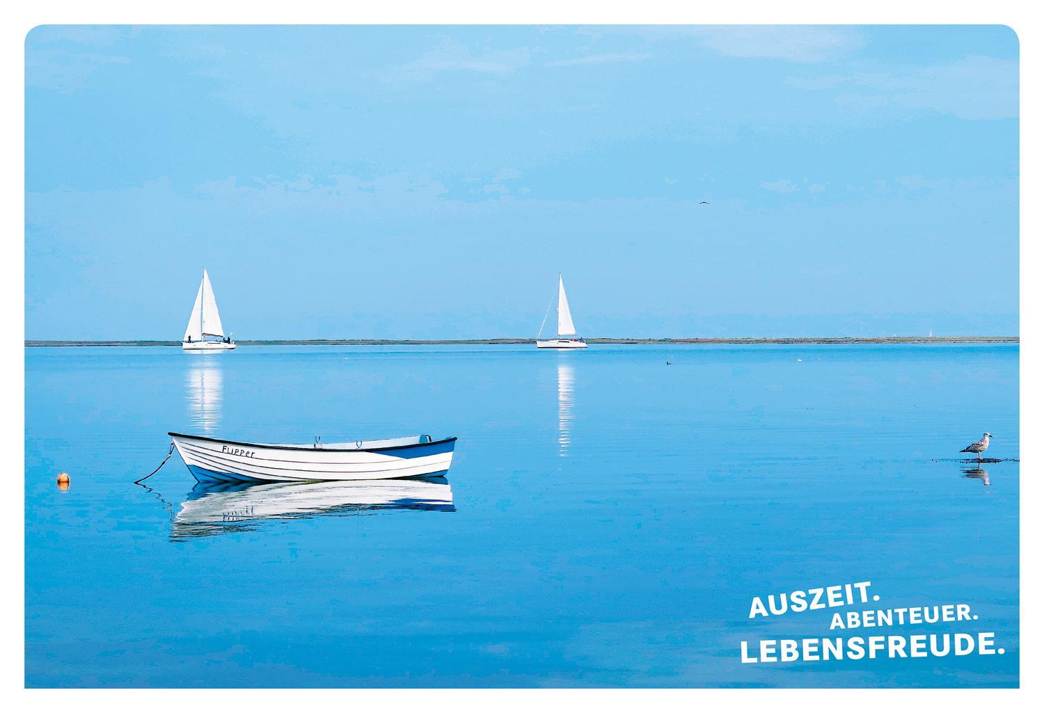 Bild: 9783770180868 | 52 kleine & große Eskapaden in Schleswig-Holstein an der Ostsee | Sohr