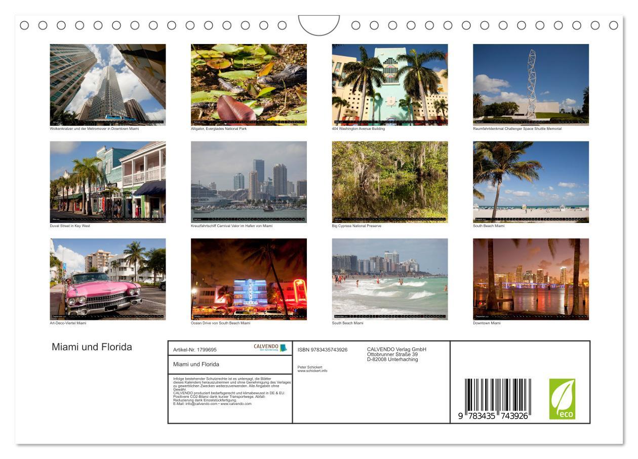 Bild: 9783435743926 | Miami und Florida (Wandkalender 2025 DIN A4 quer), CALVENDO...