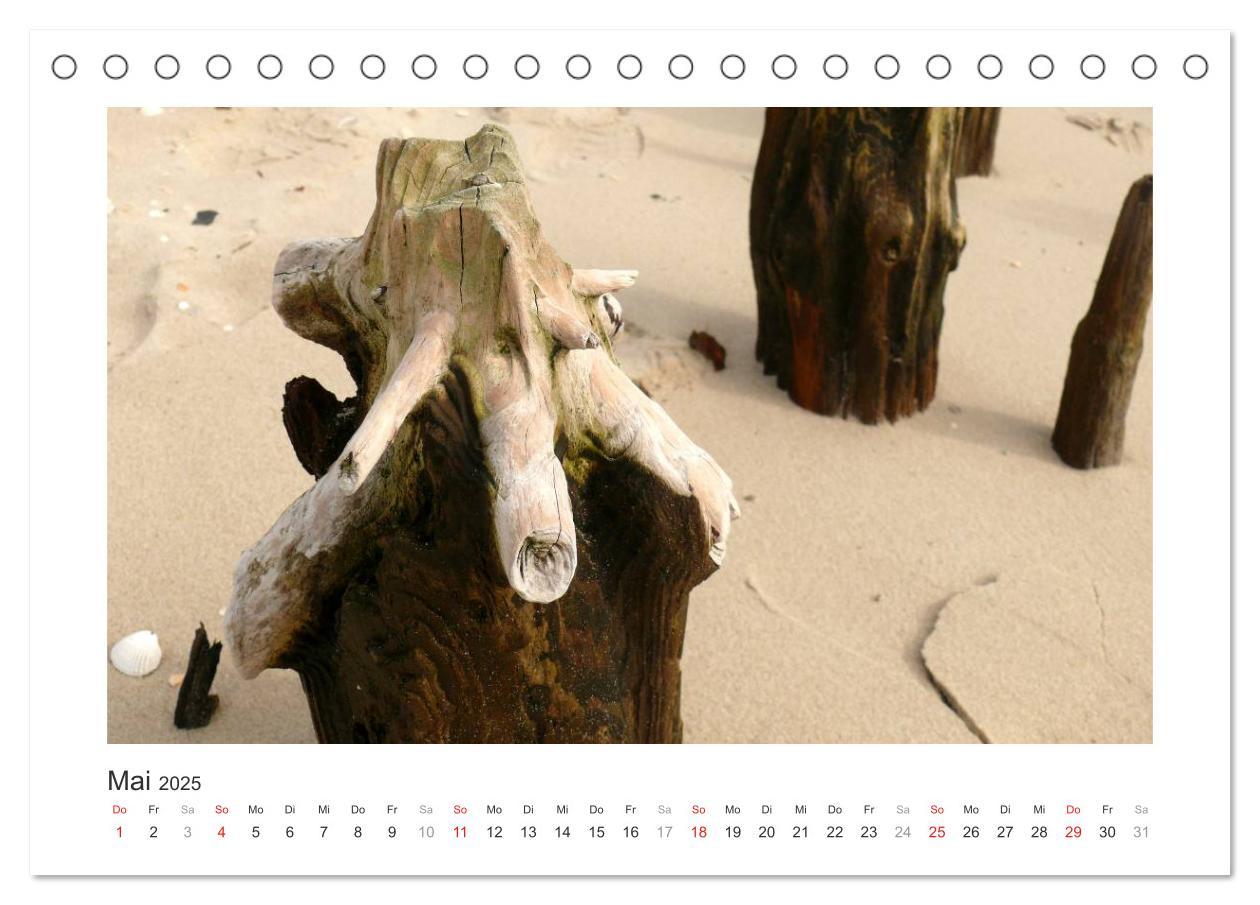 Bild: 9783435478859 | Wangerooge. Der Charme des Ostanlegers (Tischkalender 2025 DIN A5...