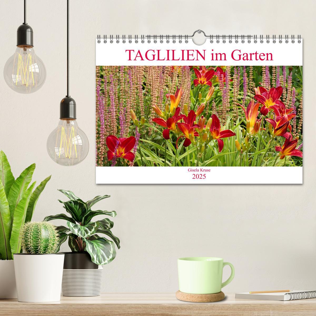 Bild: 9783435297092 | Taglilien im Garten (Wandkalender 2025 DIN A4 quer), CALVENDO...