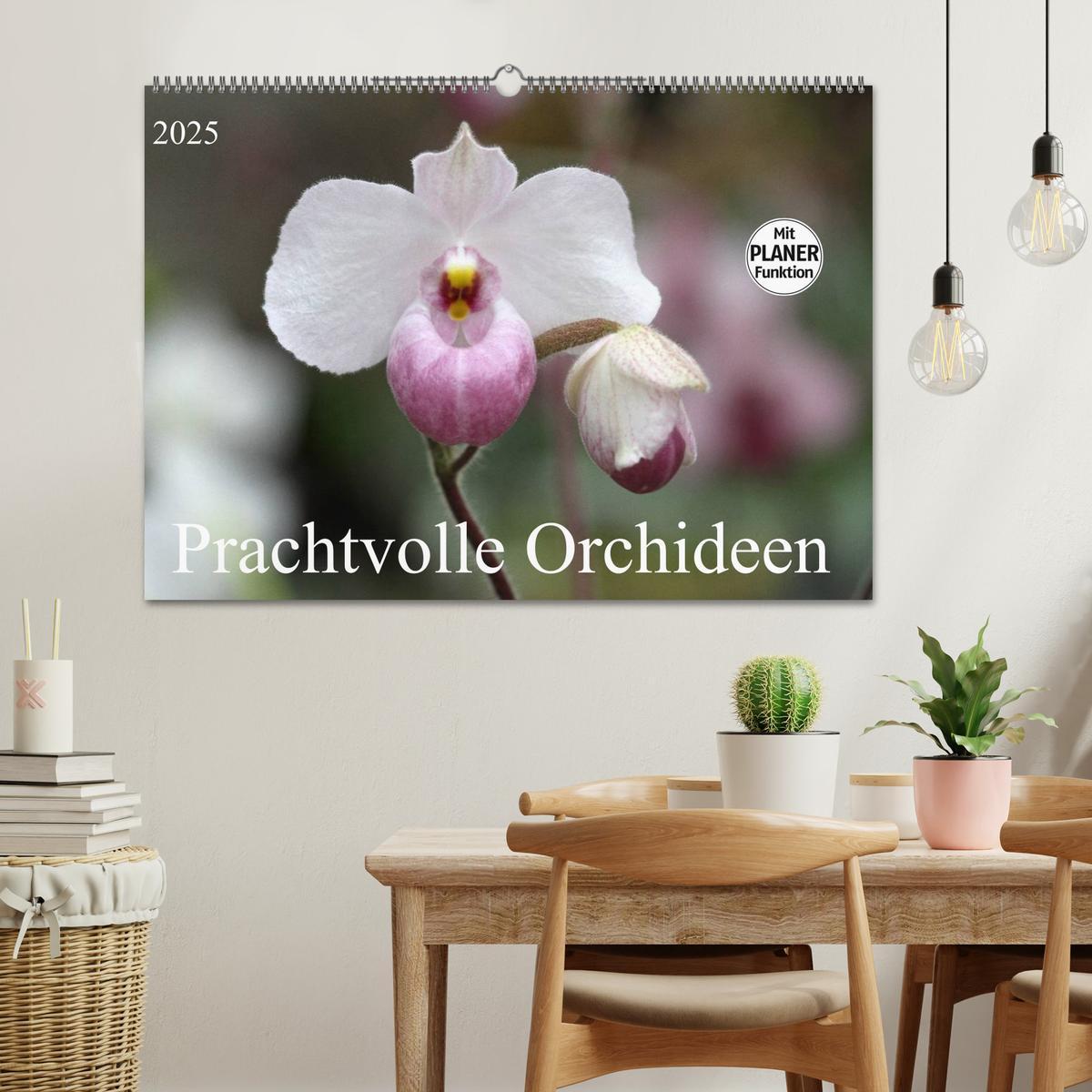 Bild: 9783435532391 | Prachtvolle Orchideen (Wandkalender 2025 DIN A2 quer), CALVENDO...