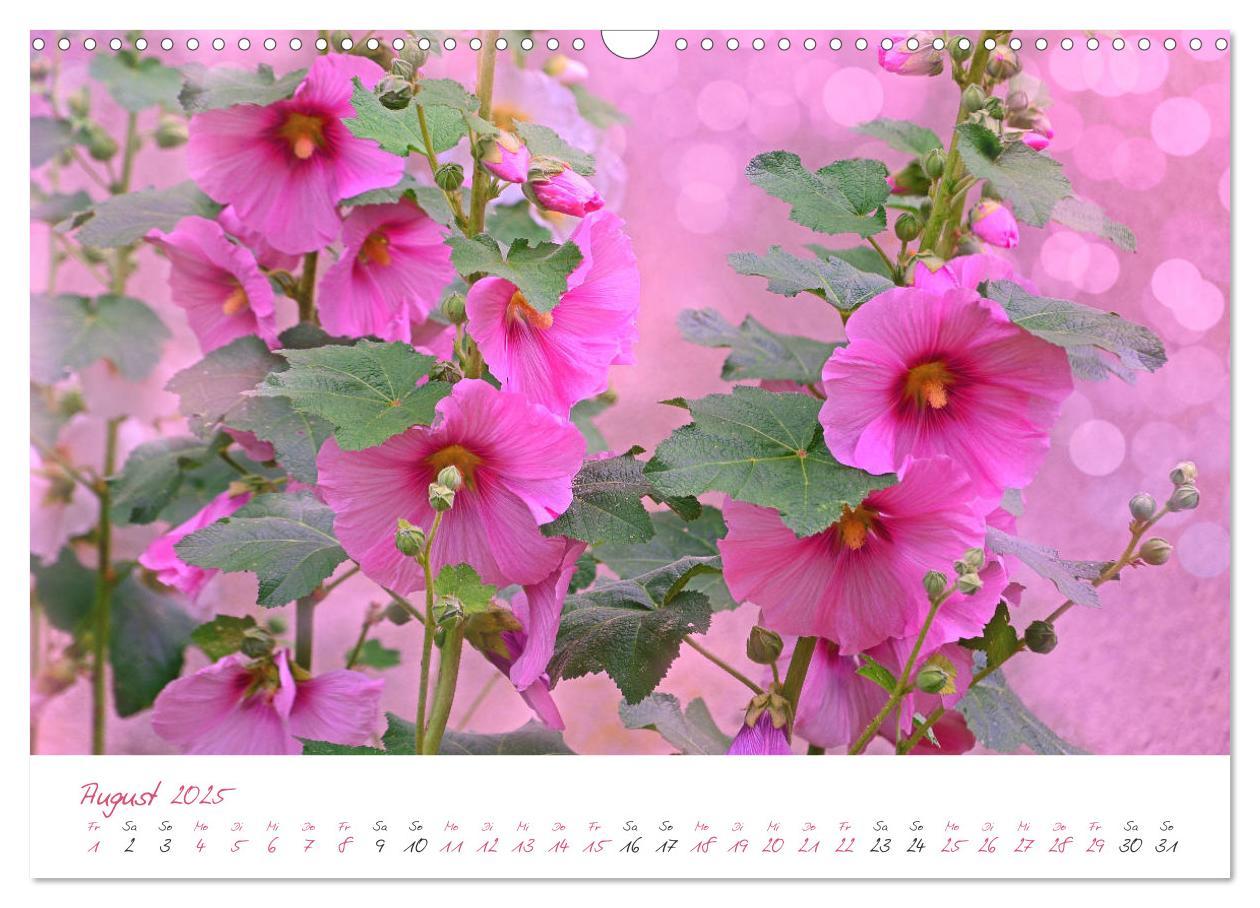 Bild: 9783435212743 | Blütenträume in violett und pink (Wandkalender 2025 DIN A3 quer),...