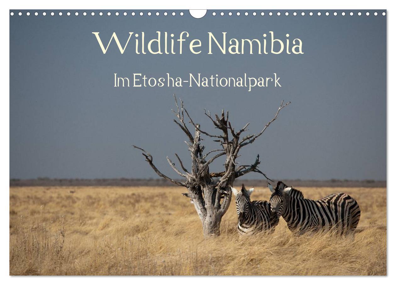 Cover: 9783435837793 | Wildlife Namibia (Wandkalender 2025 DIN A3 quer), CALVENDO...