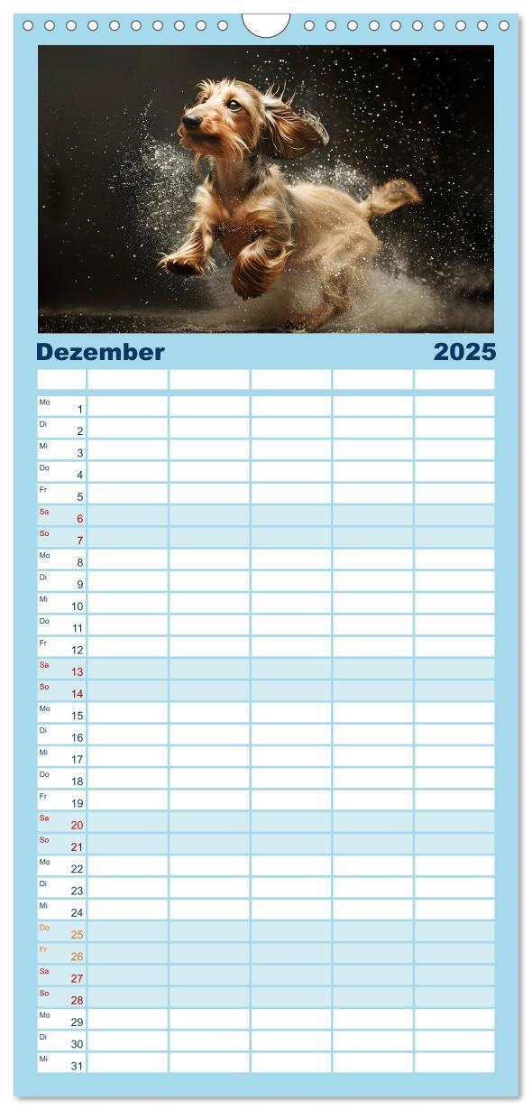 Bild: 9783457195499 | Familienplaner 2025 - Hunde und Wasser mit 5 Spalten (Wandkalender,...