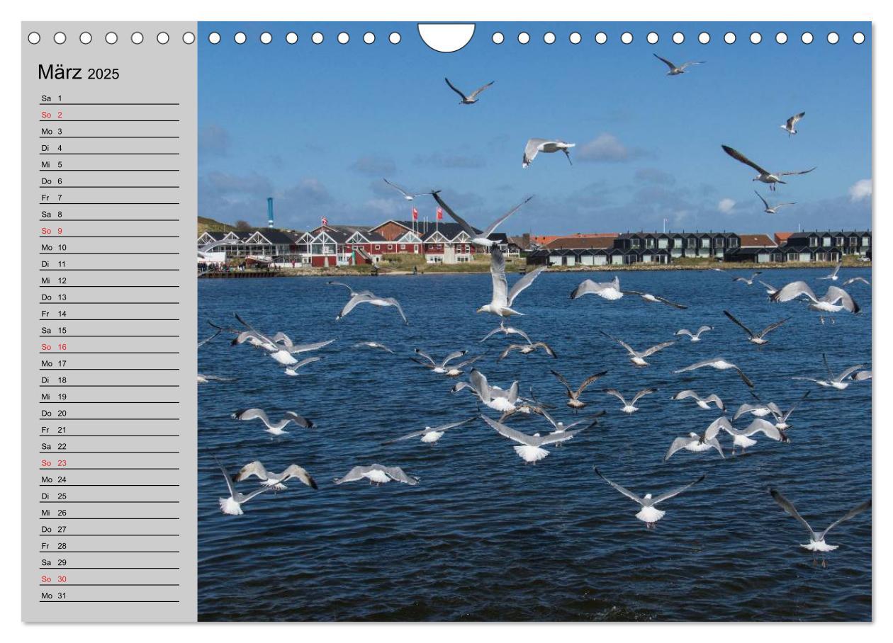 Bild: 9783435725113 | Dänemark - Umgebung von Hvide Sande (Wandkalender 2025 DIN A4...