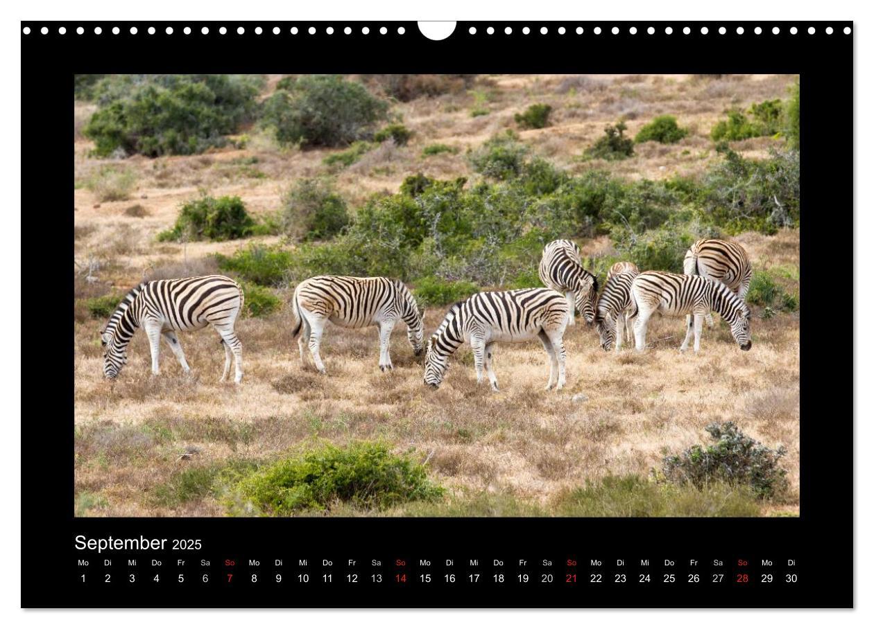 Bild: 9783435714100 | Südafrika - Garden Route (Wandkalender 2025 DIN A3 quer), CALVENDO...