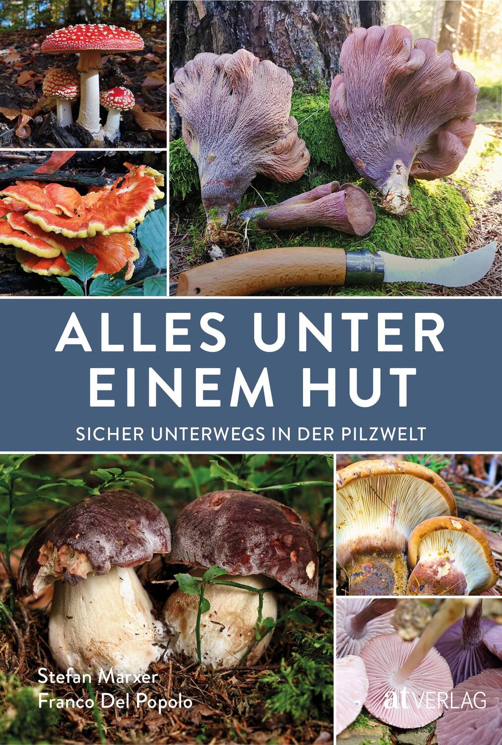 Cover: 9783039022267 | Alles unter einem Hut | Sicher unterwegs in der Pilzwelt | Taschenbuch