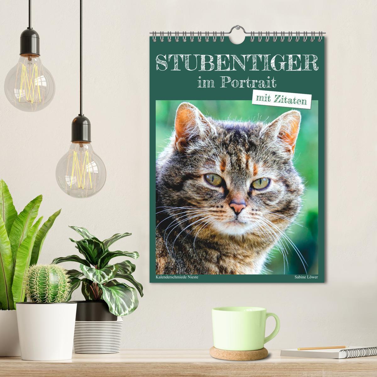 Bild: 9783435896493 | Stubentiger im Portrait (Wandkalender 2025 DIN A4 hoch), CALVENDO...