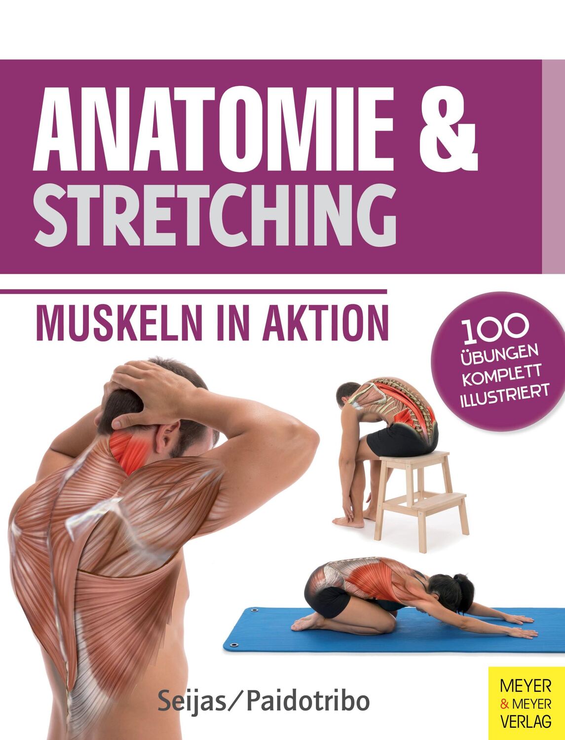 Cover: 9783898999878 | Anatomie &amp; Stretching (Anatomie &amp; Sport, Band 2) | Muskeln in Aktion