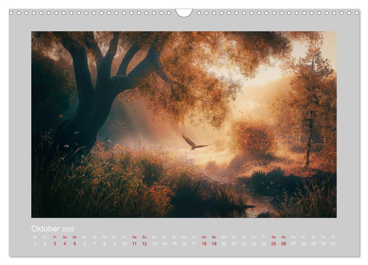 Bild: 9783383913747 | Wald der Märchen (Wandkalender 2025 DIN A3 quer), CALVENDO...