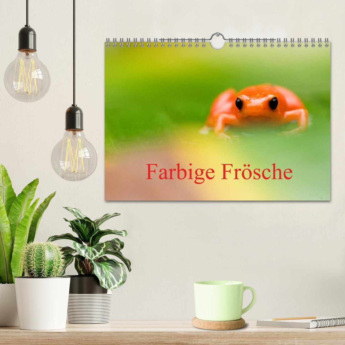 Bild: 9783435706747 | Farbige Frösche (Wandkalender 2025 DIN A4 quer), CALVENDO...