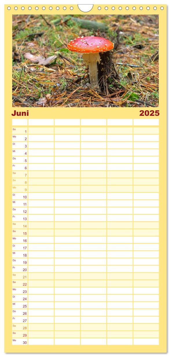 Bild: 9783457104149 | Familienplaner 2025 - Heimische Pilze mit 5 Spalten (Wandkalender,...