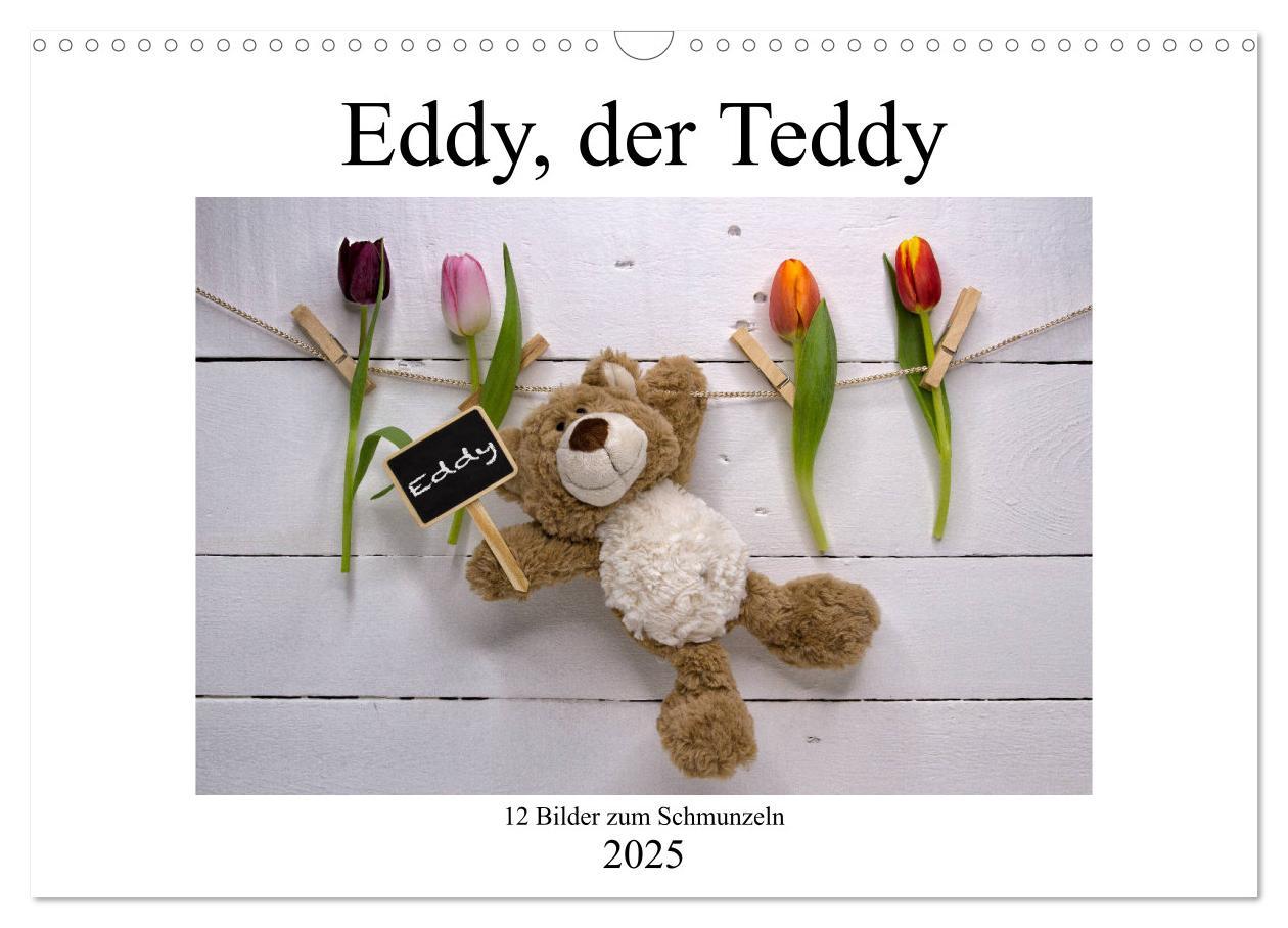 Cover: 9783435253432 | Eddy, der Teddy - 12 Bilder zum Schmunzeln (Wandkalender 2025 DIN...