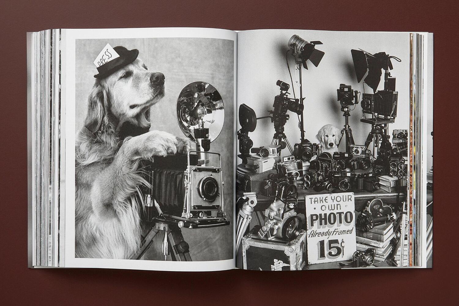 Bild: 9783836586634 | Bruce Weber. The Golden Retriever Photographic Society | Jane Goodall