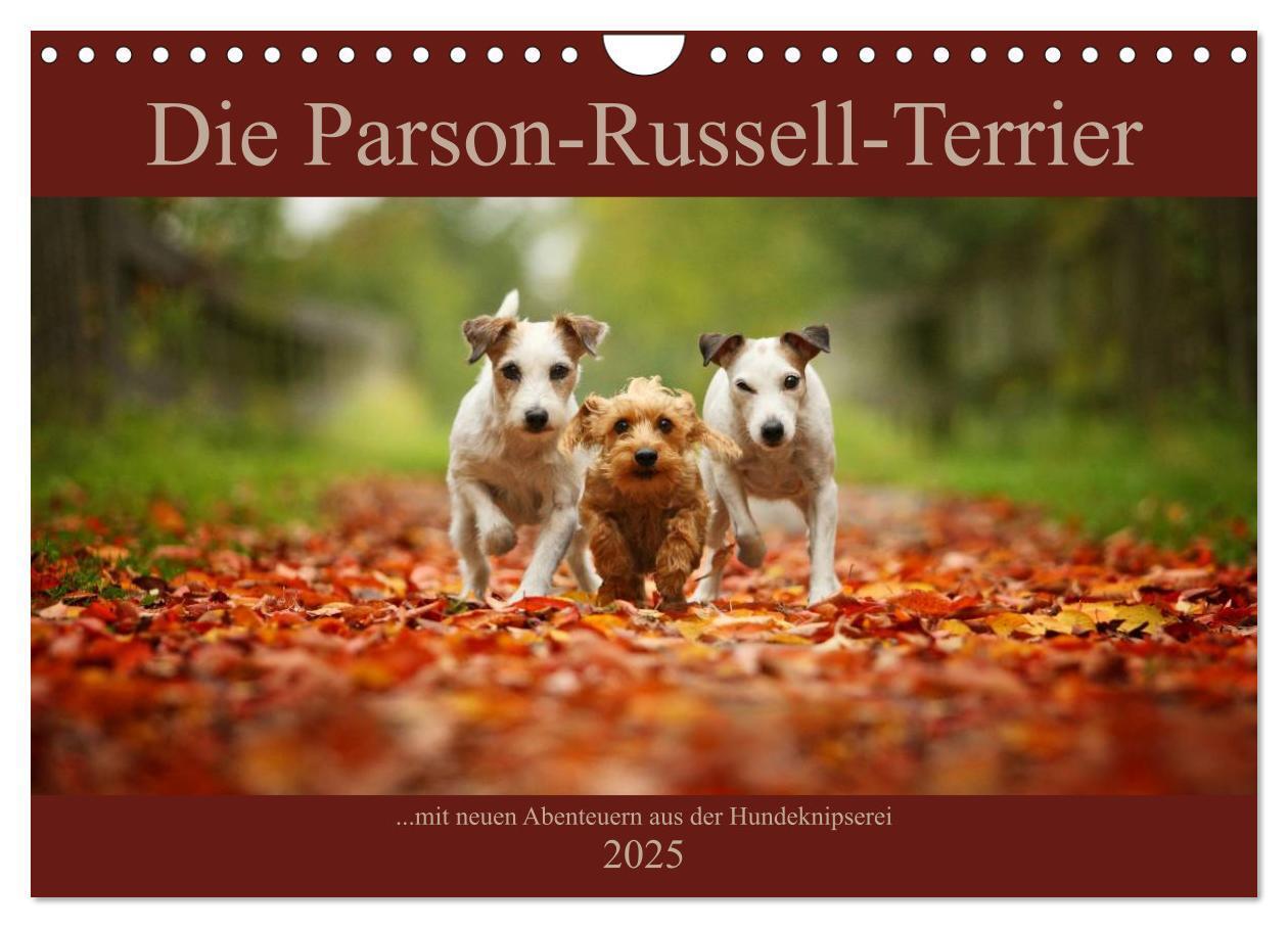 Cover: 9783435473755 | Die Parson-Russell-Terrier ...mit neuen Abenteuern aus der...