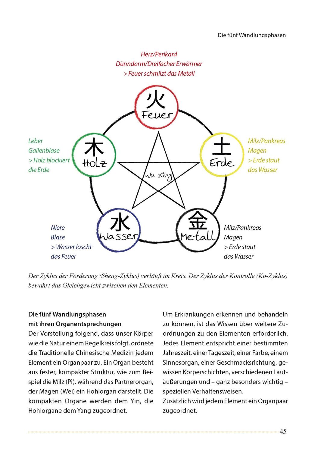 Bild: 9783275022403 | Akupunktur beim Pferd | Mit praktischen Akupressur-Anwendungen | Buch