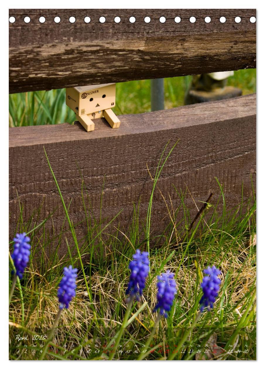 Bild: 9783435996858 | Ein Jahr voller Danbo (Tischkalender 2025 DIN A5 hoch), CALVENDO...