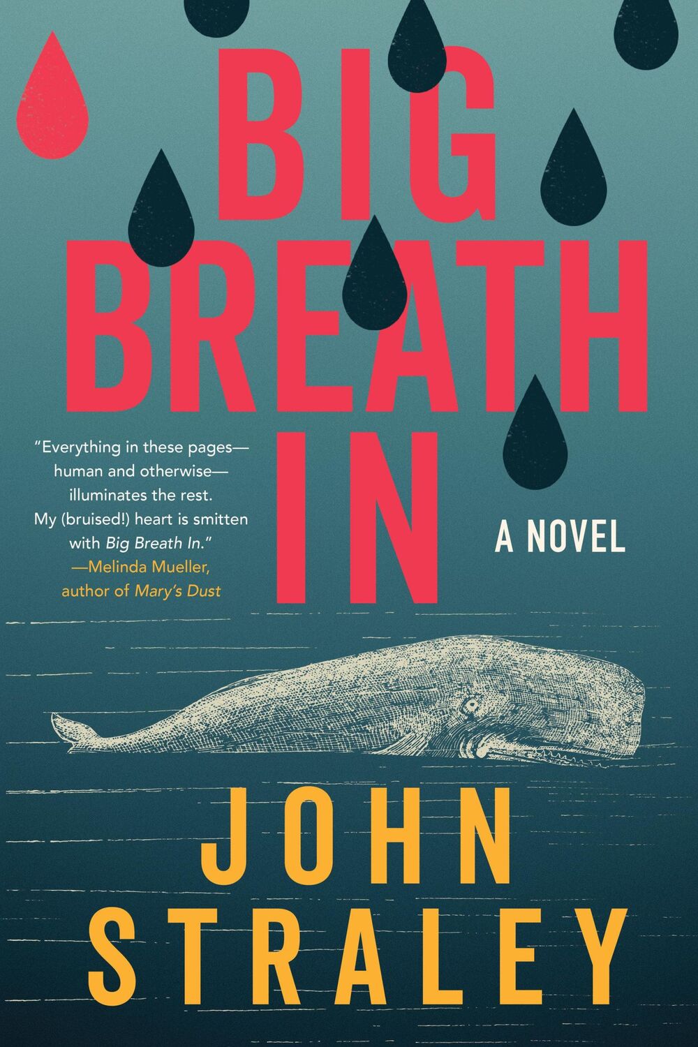 Cover: 9781641296540 | Big Breath in | John Straley | Buch | Einband - fest (Hardcover)