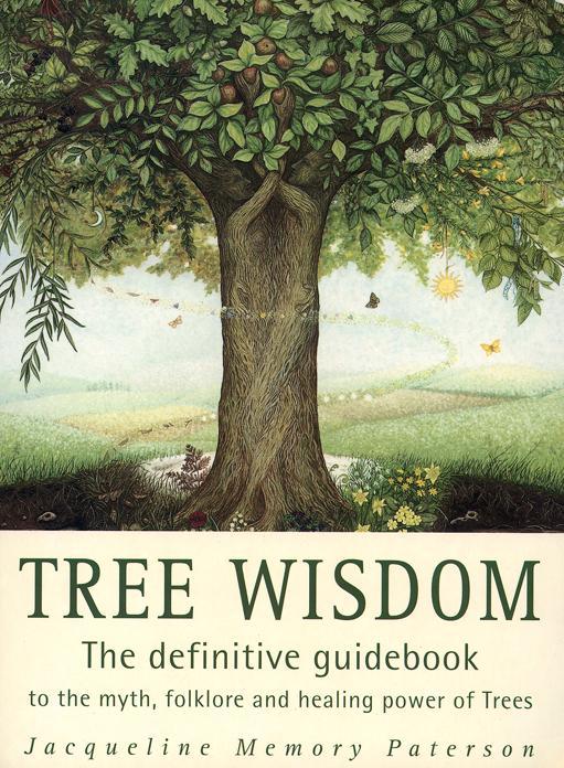 Cover: 9780722534083 | Tree Wisdom | Jacqueline Memory Paterson | Taschenbuch | Englisch