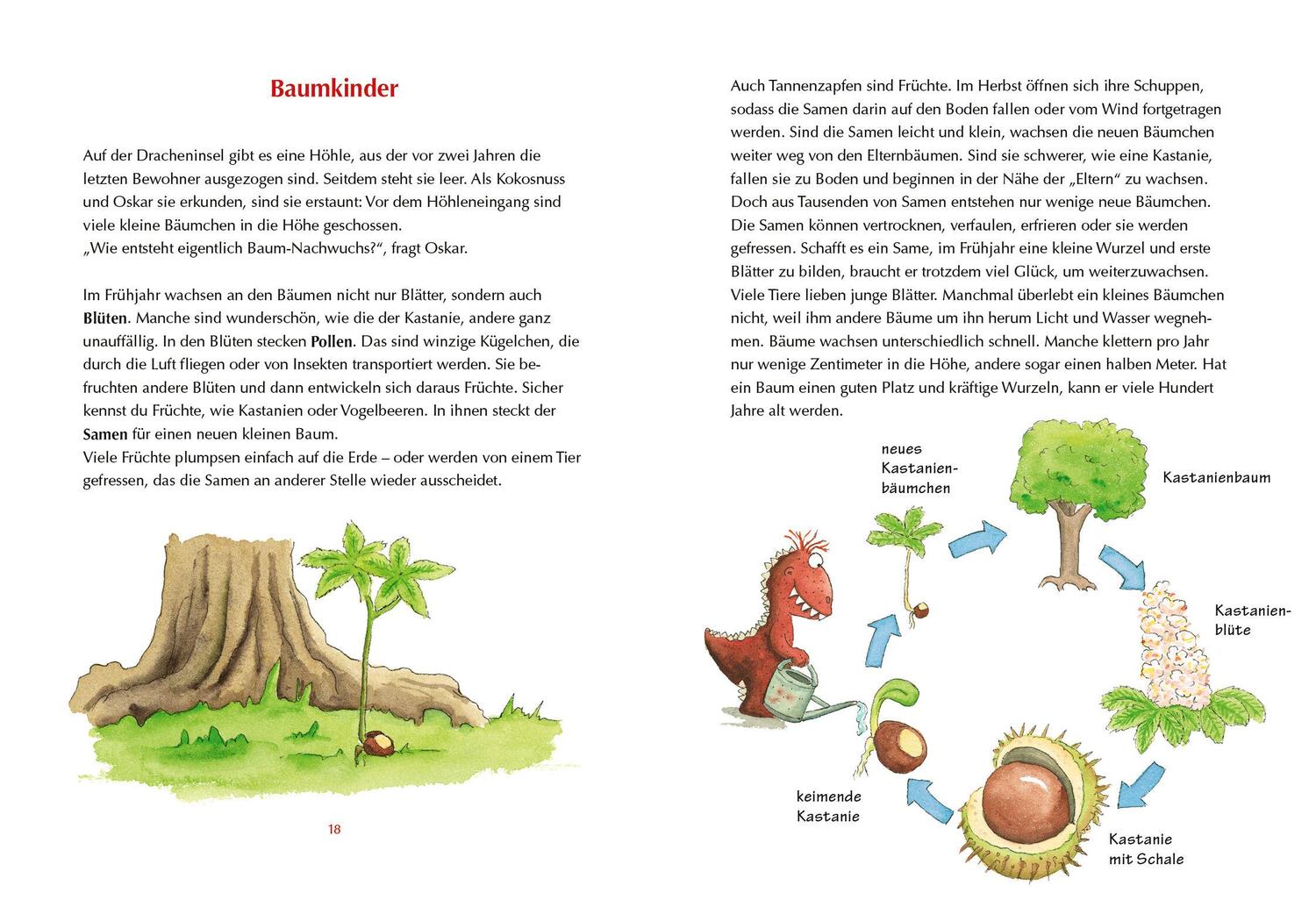 Bild: 9783570180785 | Der kleine Drache Kokosnuss - Mein erstes Wald-Buch | Ingo Siegner