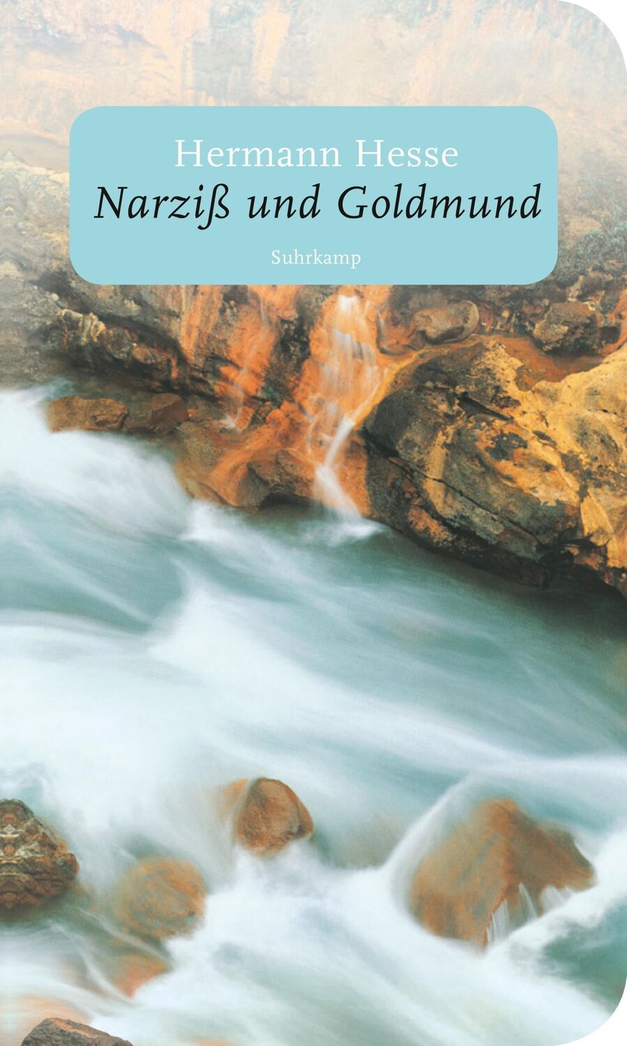 Cover: 9783518463567 | Narziß und Goldmund | Hermann Hesse | Taschenbuch | 466 S. | Deutsch