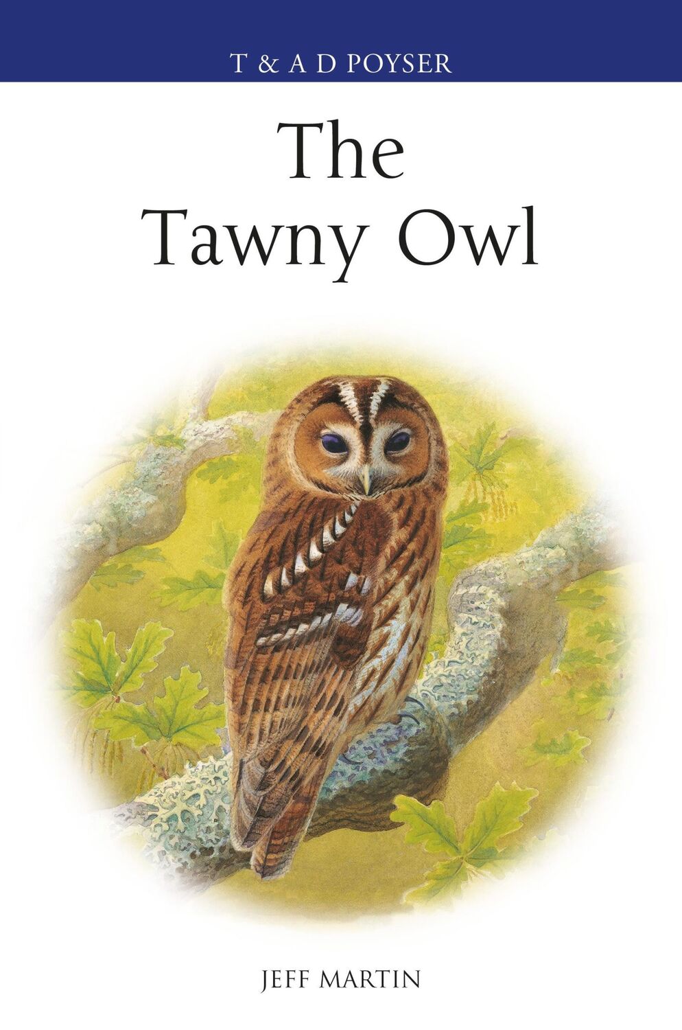 Cover: 9781472943569 | Martin, J: The Tawny Owl | Jeff Martin | Buch | Poyser Monographs